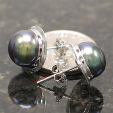 Load image into Gallery viewer, 14kw AAA 9–9.5 mm High Luster Black-Blue Cultured Pearl Encircle Stud Earrings