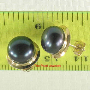 AAA 9–9.5 mm High Luster Black Cultured Pearl Encircle Stud Earrings – 14k