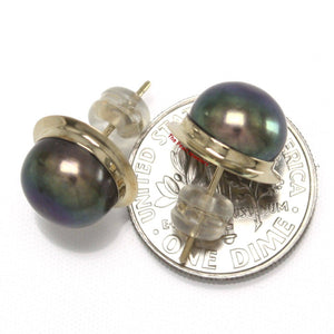 AAA 9–9.5 mm High Luster Black Cultured Pearl Encircle Stud Earrings – 14k