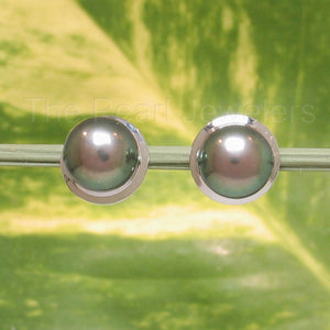 AAA 7 mm High Luster Black Cultured Pearl Encircle Stud Earrings – White Gold