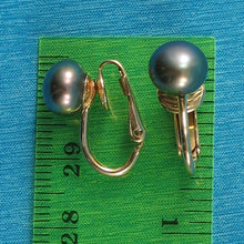 Load image into Gallery viewer, 14k Gold-Filled Clip-On Black-Gray Freshwater Pearl Earrings