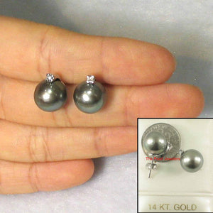 Charming Gray Green Tahitian Pearl Diamond Stud Earrings – 14k White Gold