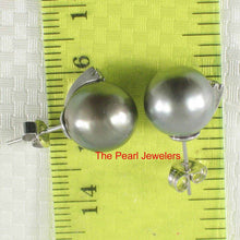 Load image into Gallery viewer, Charming Gray Green Tahitian Pearl Diamond Stud Earrings – 14k White Gold