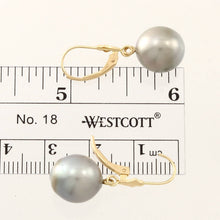 Load image into Gallery viewer, 14k Yellow Gold Gray Tahitian Pearl Leverback Earrings