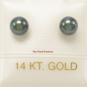 14k Yellow Gold High-Luster Black Pearl Stud Earrings