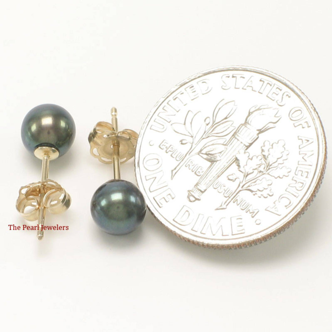 14k Yellow Gold High-Luster Black Pearl Stud Earrings