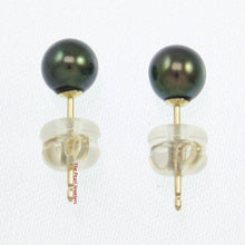 Load image into Gallery viewer, 14k Yellow Gold High-Luster Black Pearl Stud Earrings