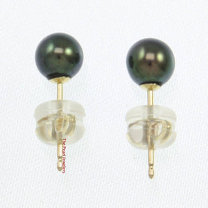 14k Yellow Gold High-Luster Black Pearl Stud Earrings