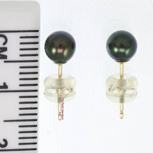 Load image into Gallery viewer, 14k Yellow Gold High-Luster Black Pearl Stud Earrings