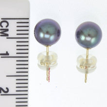 Load image into Gallery viewer, High Luster Black Cultured Pearl Stud Earrings