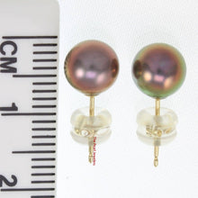 Load image into Gallery viewer, 14k Yellow Gold High Luster Eggplant Cultured Pearl Stud Earrings