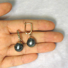 Load image into Gallery viewer, Natural Black Tahitian Pearl Euro Back Dangle Earrings – 14k Yellow Gold