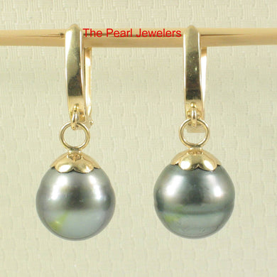 Natural Black Tahitian Pearl Euro Back Dangle Earrings – 14k Yellow Gold