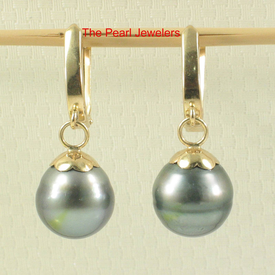 Natural Black Tahitian Pearl Euro Back Dangle Earrings – 14k Yellow Gold