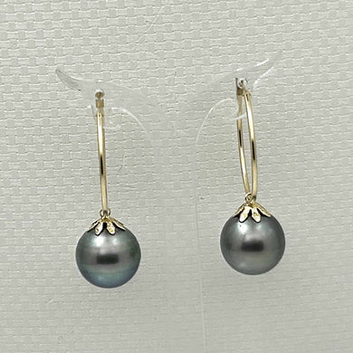 Natural Black Tahitian Pearl Hoop Earrings – 14k Yellow Gold