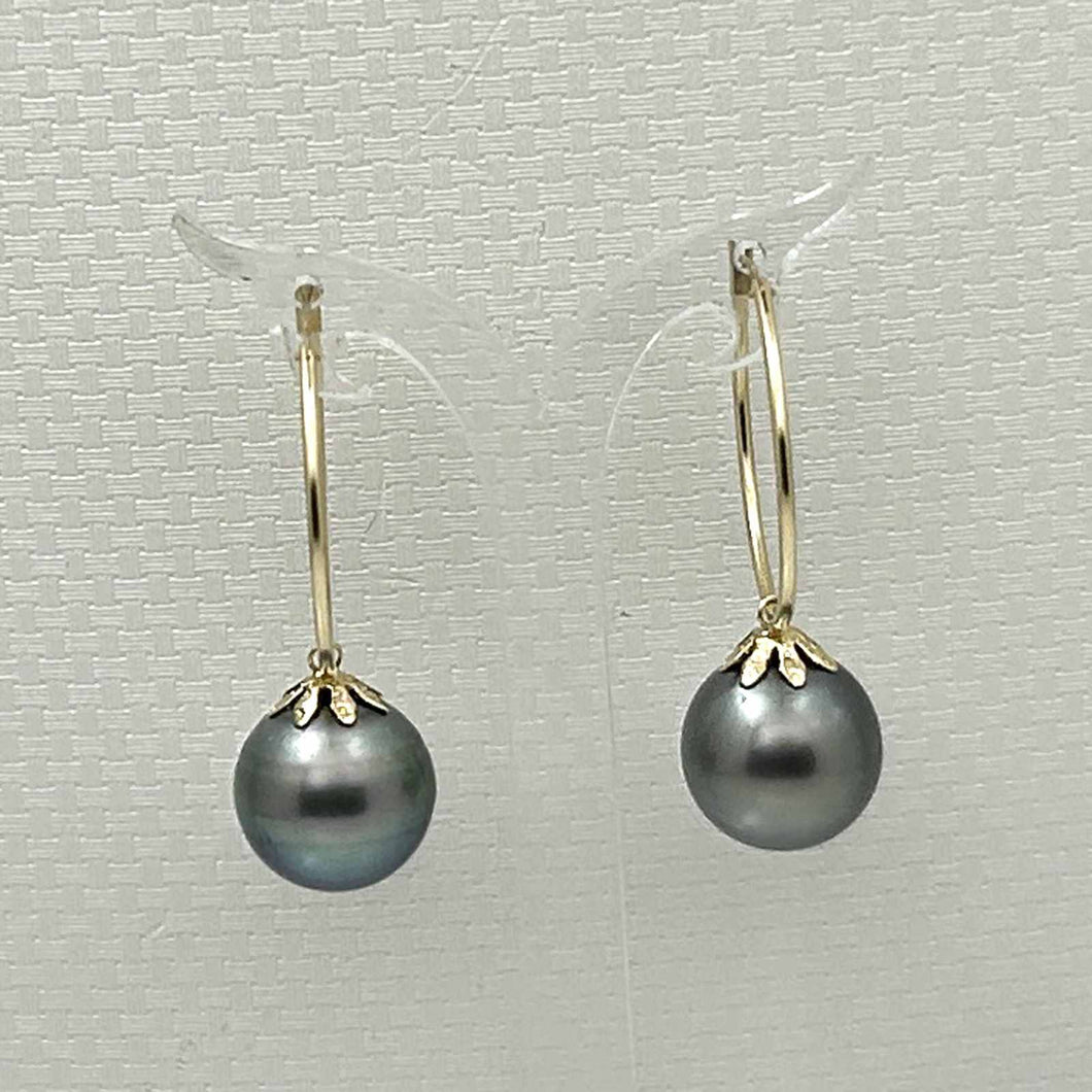 Natural Black Tahitian Pearl Hoop Earrings – 14k Yellow Gold