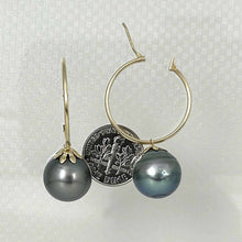 Load image into Gallery viewer, Natural Black Tahitian Pearl Hoop Earrings – 14k Yellow Gold