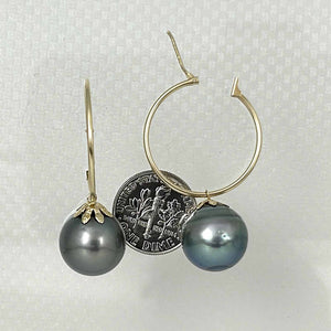 Natural Black Tahitian Pearl Hoop Earrings – 14k Yellow Gold