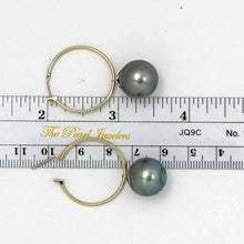 Load image into Gallery viewer, Natural Black Tahitian Pearl Hoop Earrings – 14k Yellow Gold