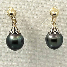 Load image into Gallery viewer, Non Pierced Baroque Tahitian Pearl Dangle Earrings – 14k Yellow Gold &amp; Fill