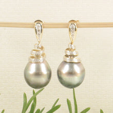 Load image into Gallery viewer, Peacock Tahitian Pearl &amp; Diamond Swirl Earrings – 14k Yellow Gold