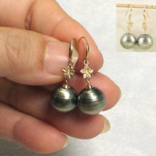 Load image into Gallery viewer, Baroque Black Gray Tahitian Pearl Hawaiian Plumeria Hook Earrings – 14k Yellow Gold