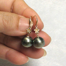 Load image into Gallery viewer, Baroque Black Gray Tahitian Pearl Hawaiian Plumeria Hook Earrings – 14k Yellow Gold