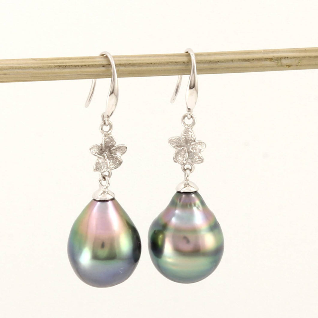 Traditional Hawaiian Plumeria Peacock Tahitian Pearl Earrings – 14k White Gold