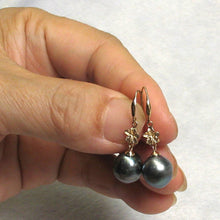 Load image into Gallery viewer, Black Tahitian Pearl Hawaiian Plumeria Hook Earrings – 14k Yellow Gold