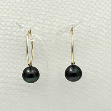 Load image into Gallery viewer, Real Black Tahitian Pearl Hoop Earrings – 14k Yellow Gold