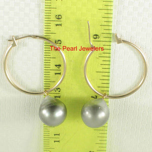 Romaric Tahitian Pearl Hoop Earrings – 14k Yellow Gold