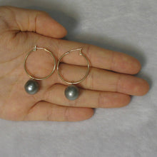 Load image into Gallery viewer, Romaric Tahitian Pearl Hoop Earrings – 14k Yellow Gold