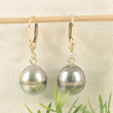 Load image into Gallery viewer, 14k Yellow Gold Silver Green Tahitian Pearl Leverback Earrings