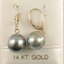 Load image into Gallery viewer, 14k Yellow Gold Silver Green Tahitian Pearl Leverback Earrings