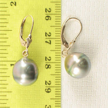 Load image into Gallery viewer, 14k Yellow Gold Silver Green Tahitian Pearl Leverback Earrings