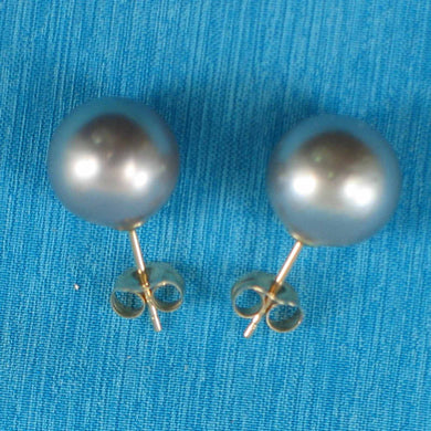 Silver Tone Tahitian Pearl Stud Earrings – 14k Yellow Gold