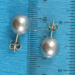 Silver Tone Tahitian Pearl Stud Earrings – 14k Yellow Gold