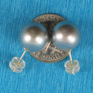 Silver Tone Tahitian Pearl Stud Earrings – 14k Yellow Gold