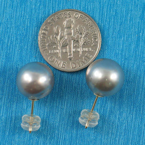 Silver Tone Tahitian Pearl Stud Earrings – 14k Yellow Gold
