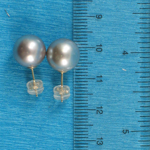 Silver Tone Tahitian Pearl Stud Earrings – 14k Yellow Gold