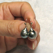 Load image into Gallery viewer, Simple Charming Tahitian Pearl Fish Hook Earrings – 14k Yellow Gold