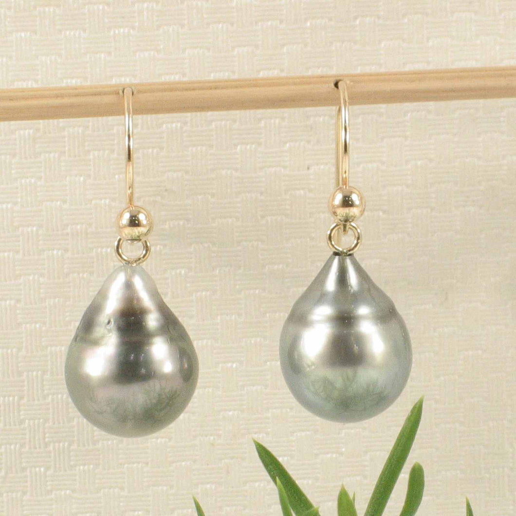 Simple Charming Tahitian Pearl Fish Hook Earrings – 14k Yellow Gold