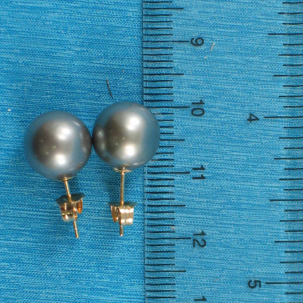 Silvery Gray Tahitian Pearl Stud Earrings – 14k Yellow Gold