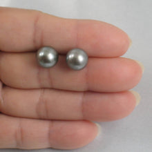Load image into Gallery viewer, Silvery Gray Tahitian Pearl Stud Earrings – 14k Yellow Gold