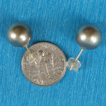 Load image into Gallery viewer, Silvery Gray Tahitian Pearl Stud Earrings – 14k Yellow Gold