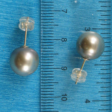 Load image into Gallery viewer, Silvery Gray Tahitian Pearl Stud Earrings – 14k Yellow Gold