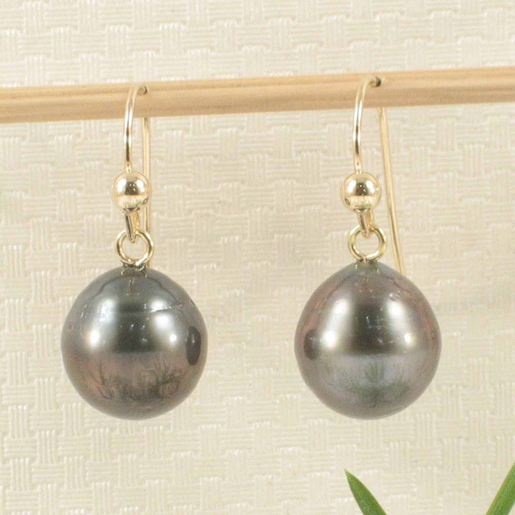 Simple Charming Tahitian Pearl Fish Hook Earrings – 14k Yellow Gold