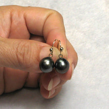 Load image into Gallery viewer, Simple Charming Tahitian Pearl Fish Hook Earrings – 14k Yellow Gold