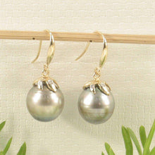 Load image into Gallery viewer, Smoke Silver Tahitian Pearl &amp; Diamond Hook Earrings – 14k Yellow Gold