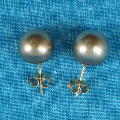 Soft Champagne Tahitian Pearl Stud Earrings – 14k Yellow Gold